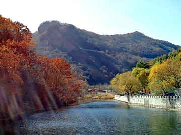 新澳天天开奖资料大全旅游团，踏破九重天